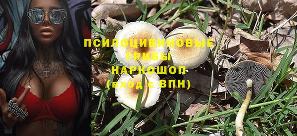 ГАЛЛЮЦИНОГЕННЫЕ ГРИБЫ Алзамай
