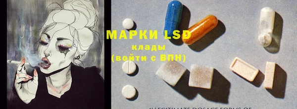 ГАЛЛЮЦИНОГЕННЫЕ ГРИБЫ Алзамай