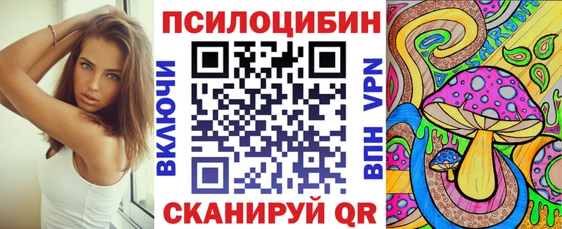 где купить наркотик  Перевоз  Галлюциногенные грибы Magic Shrooms 