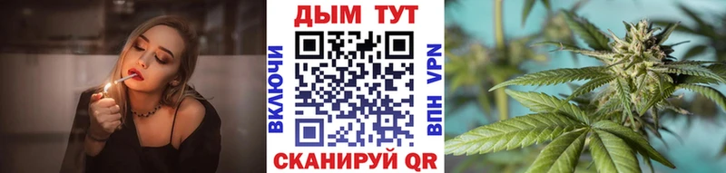 продажа наркотиков  ОМГ ОМГ маркетплейс  Бошки Шишки семена  Перевоз 